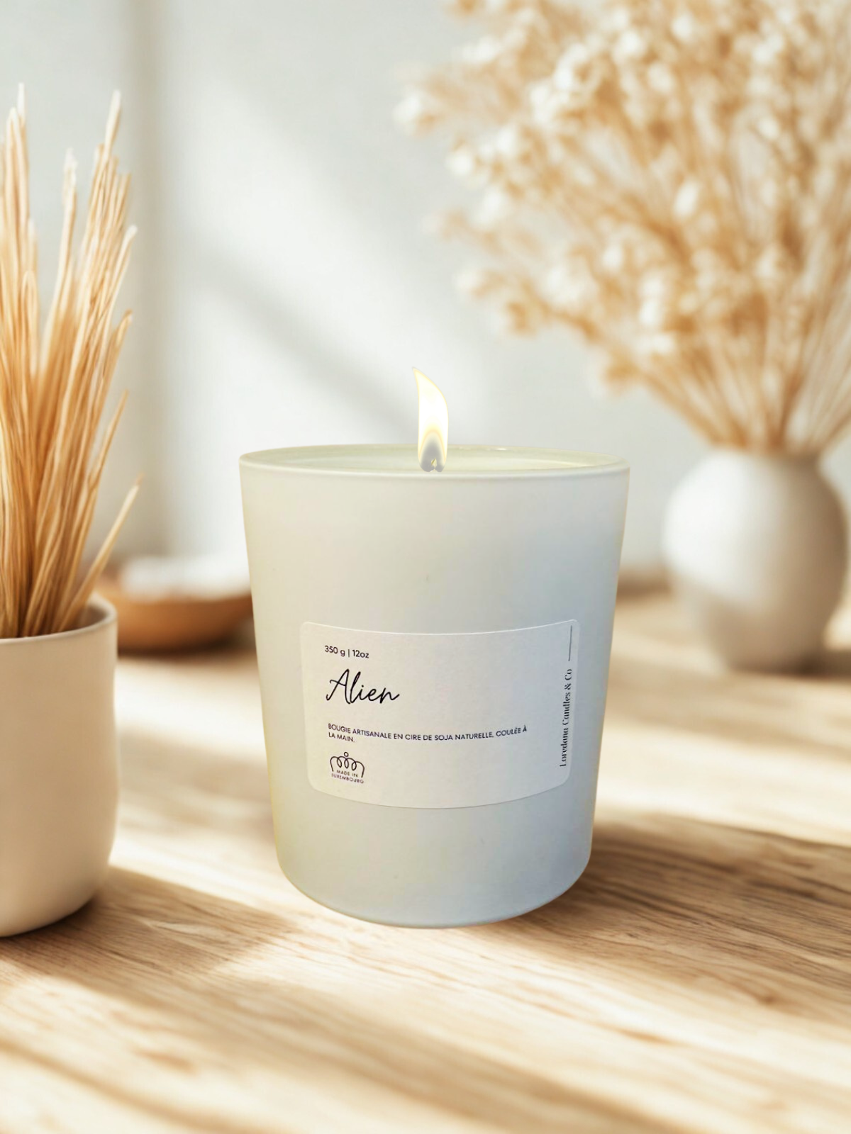 Bougie parfumée artisanale - Alien