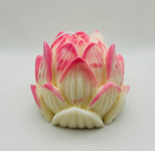 Lotus Flower