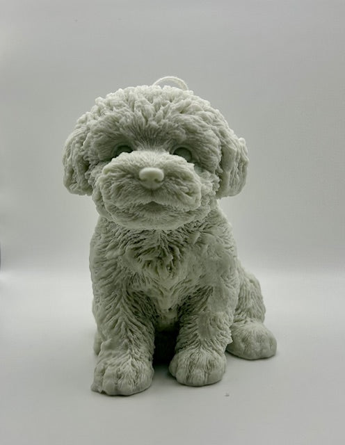 Benji