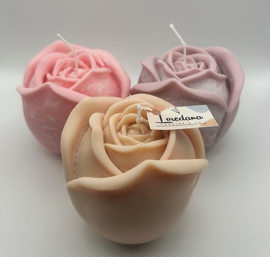 XL Rose